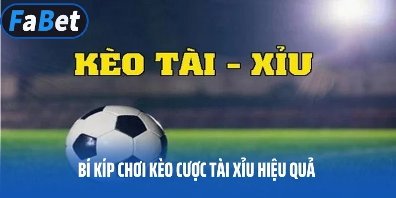 Bí kíp chơi kèo cược tài xỉu hiệu quả nên áp dụng