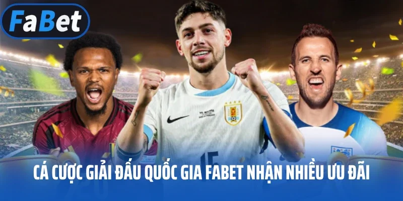 Cá cược giải đấu Quốc gia Fabet nhận nhiều ưu đãi