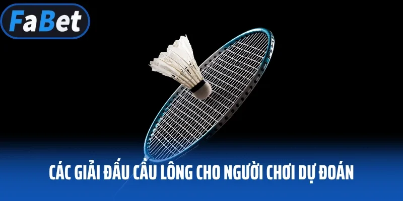 Các giải đấu cầu lông cho người chơi dự đoán