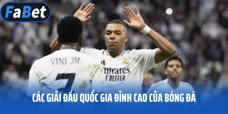Các giải đấu Quốc gia đỉnh cao của bóng đá