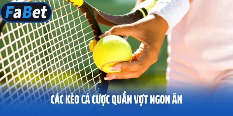 Các kèo cá cược quần vợt ngon ăn