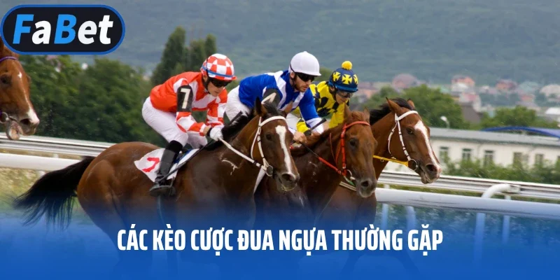Các kèo cược đua ngựa thường gặp