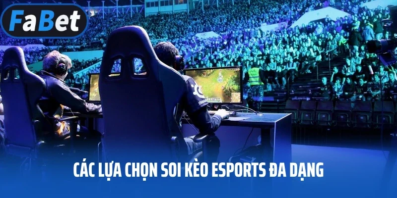 Các lựa chọn soi kèo Esports đa dạng