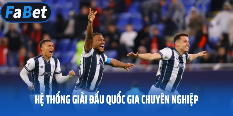 Hệ thống giải đấu Quốc gia chuyên nghiệp