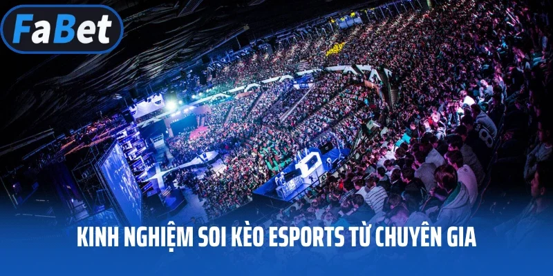 Kinh nghiệm soi kèo Esports từ chuyên gia
