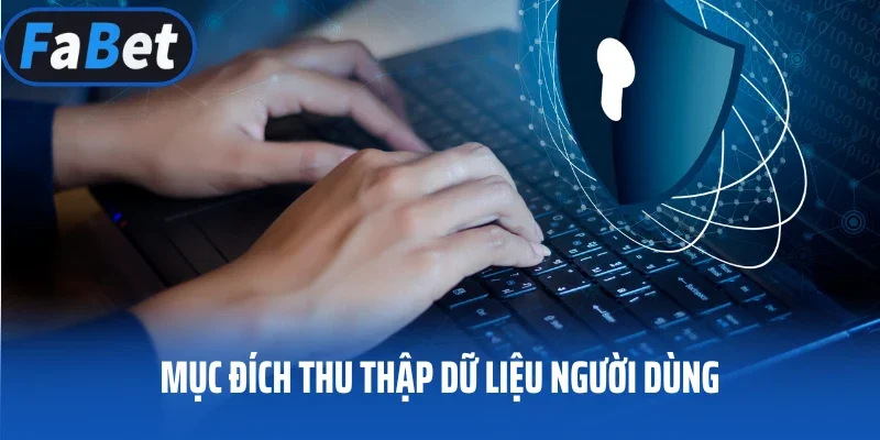 Mục đích thu thập dữ liệu người dùng