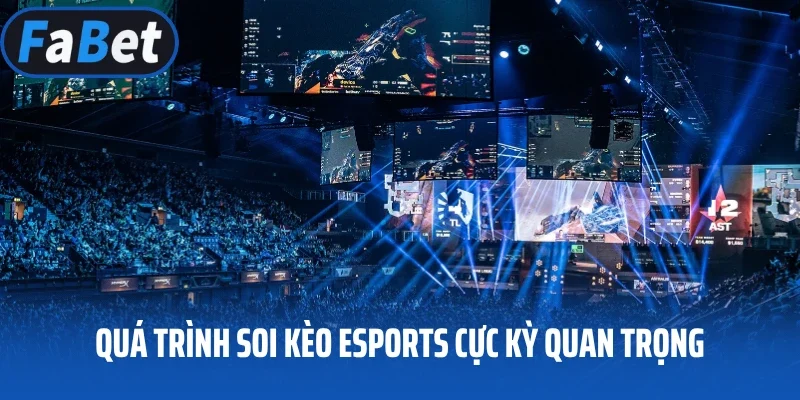 Quá trình soi kèo Esports cực kỳ quan trọng