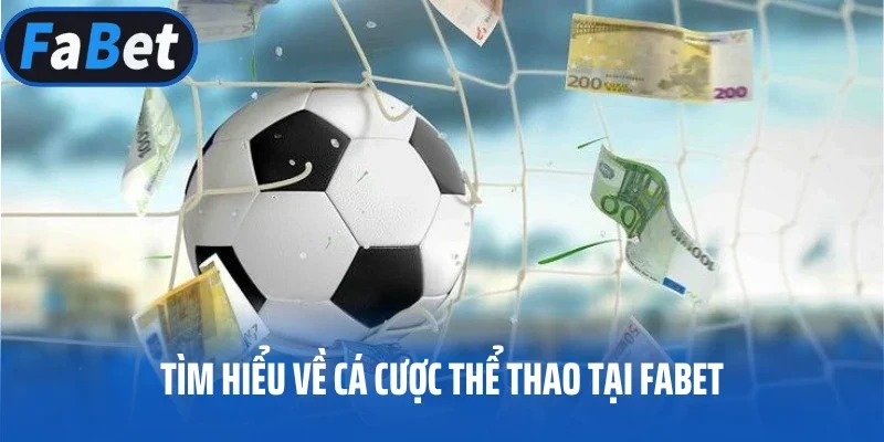 Tìm hiểu về cá cược thể thao tại FABET