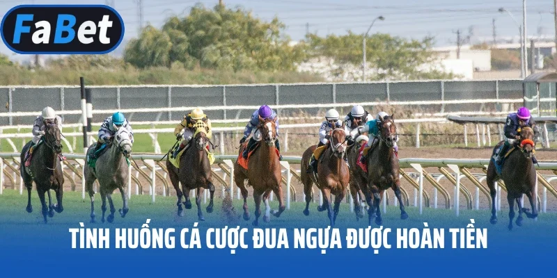Tình huống cá cược đua ngựa được hoàn tiền