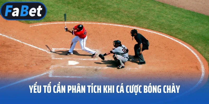Yếu tố cần phân tích khi cá cược bóng chày